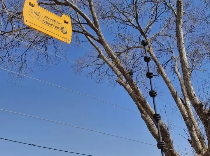 Maintenance - Electric Fences